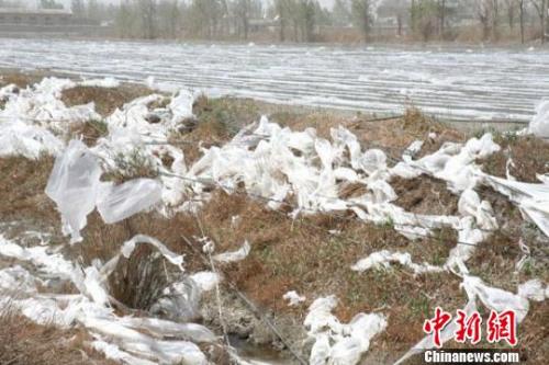 ũҵũ�岿����2020���й���Ĥ�����������ʵ��������