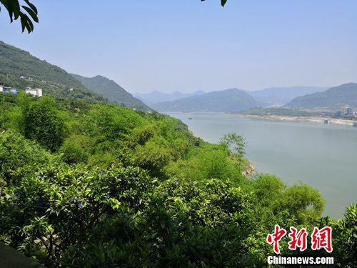 ��ơ���������������ô���̬�������ٸ����������뱣��