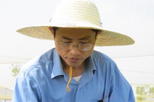 中国新闻网_时政