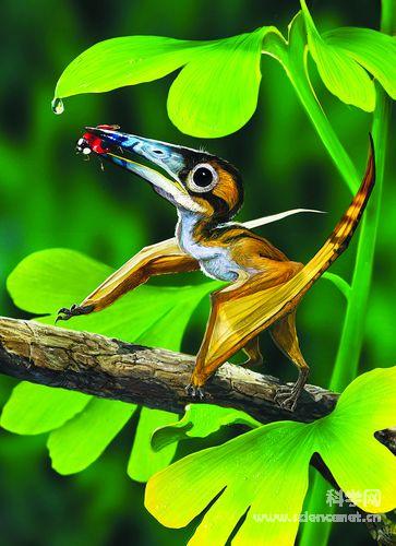 揭开"空中霸主"神秘面纱 中国发现最小翼龙化石