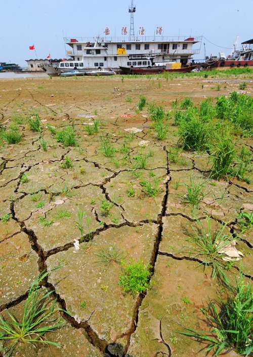 �󹫱�����ͥ�����������⵽�����ƻ�