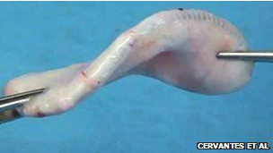 ����ѧ��ʵ�����������˶��䡱