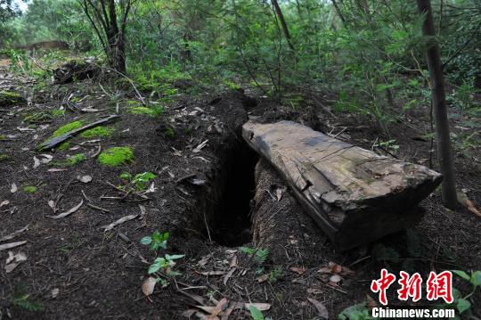 ����ý����֤�й���ʷ���ɻ��ӡ����ܱ���ȴ