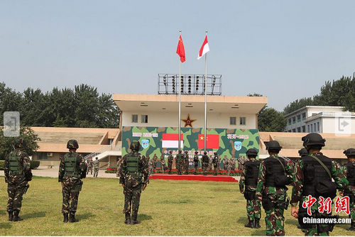 �ۿ������������պ�����Ӧ�Կ�Ϯ��������