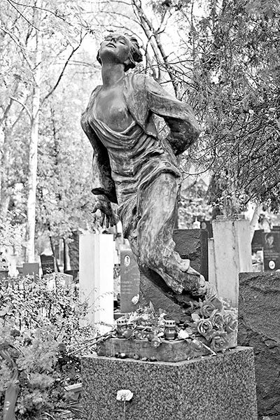 ��괣���ļ�԰��ͼ��