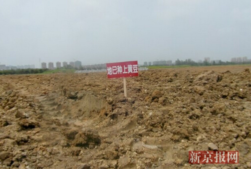 ��ý������·�ֶ���͹�������ۡ������䡱����