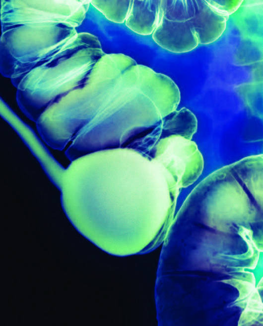 �������β��ʲô���ܣ�