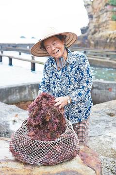 ̨�庣Ů��ʯ����