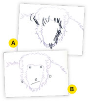 想象绘图能力人类独有