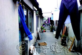 楼房顶上盖了五排简易房40个房间里几乎住满人