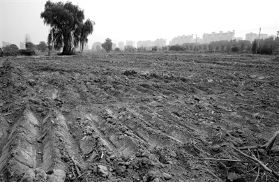 �����޼���Ʒ����̧���������ż�ʵ�С������ϳ���