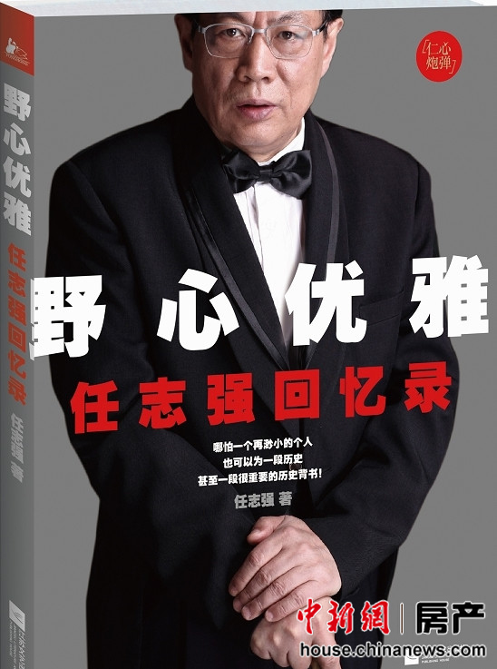 2013房企大佬“去哪儿”:任志强出书王健林买画(5)