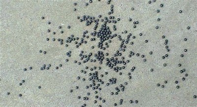 和射击训练中心做邻居小区业主:每天都有子弹飞