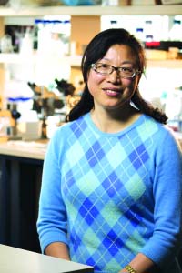 Ϥ�Ừ����ڷ�����Ҷ���ػ�������ѧ�ҽ���ͼ��