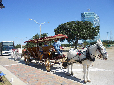 查理士湖旁的骡车.(美国《世界周刊》)