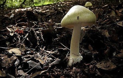 �����»������˶�Ģ������ӿ�ֹ�Ա�ٱ�����ʳ