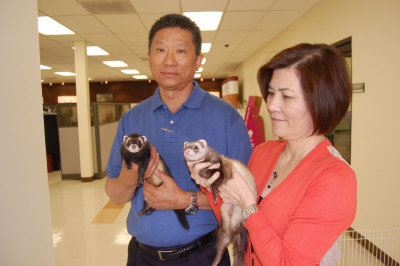 �����̴������ϰ�����ʿ��ѩ���ɰ칫���³裨ͼ��