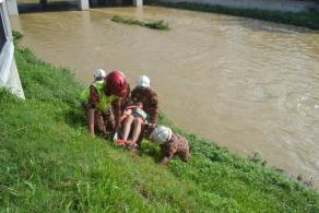 �������ǻ�����������ͼ��ɱ׹�Ӱ������ˣ�ͼ��