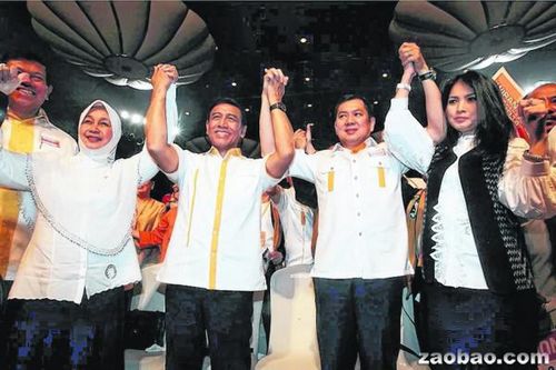 与华裔企业家搭档印尼前三军总司令宣布参选总统