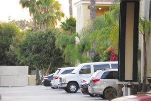 美月子中心脱离华人区“月子宾馆”尚无法律制约