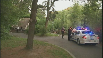 �������и���԰��Ϣ�������������һʬ������ͼ��