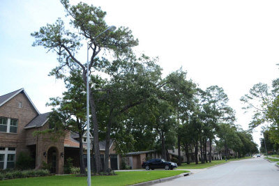 ��˹�ط��л��»������ֽ���ѧ�������֣�ͼ��