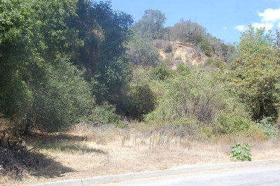 ����Ͷ��ɽ��������С�Ļ�����ظǷ����и����