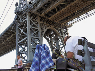 ŦԼһ������Ѯ����������˹������ɱ��ȣ�ͼ��