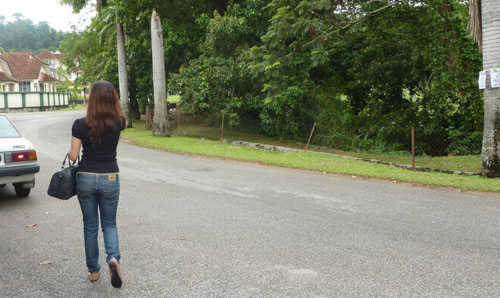 ·��¶�����̬ɫħ��������Ů������Ӧ�ԣ�ͼ��