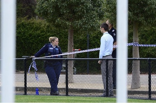 �������Ӻ�ʬī�����˶���������δ��������ͼ��