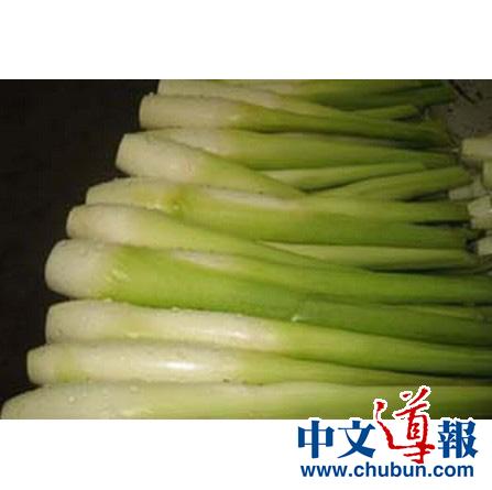 ���˽��Ի���������ձ����й�����ʲô����ʲô