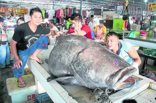 �������˸߼��չ�200������������������2�ܣ�ͼ��