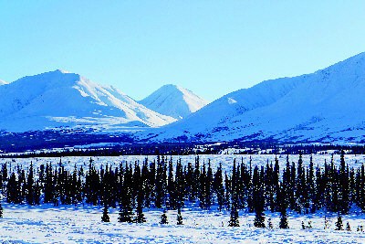 ������֮��