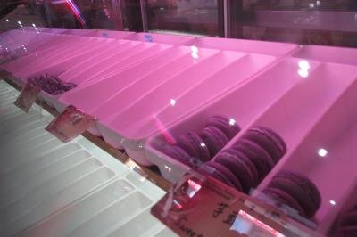 �ù������ƽ���������ֹ�����������������ͼ��