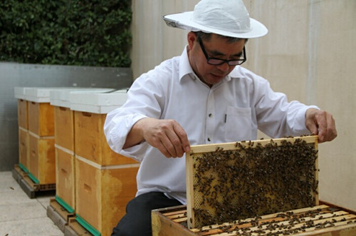 �÷����ݼ����������ң����Ĺ���ٻ������루ͼ��