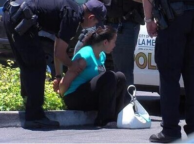 �����½����׶�������������ĸ�ױ�����������ͼ��