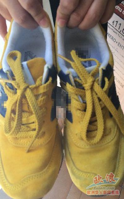 �й��ο���������ЬƵ���̼ҡ���è��̫�ӡ���ͼ��