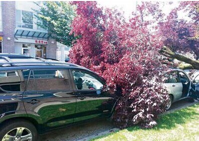 �¸绪һ����Ů˾����������ѹ�����и��⳥��ʧ