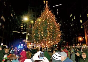 波士顿华埠点亮圣诞灯市长及政要提前祝贺节日