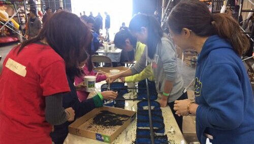 ����õ�廨�����е���ʱ�����幤����װ������