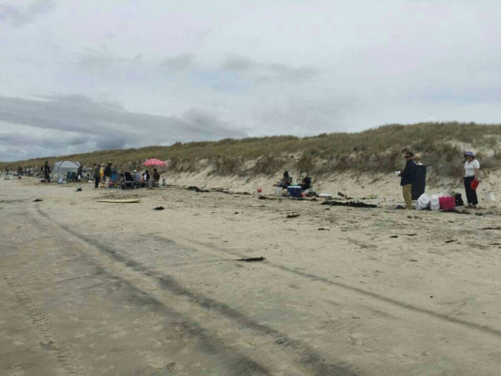 ������һ���������뺣Ͷз�������뺣�в�������