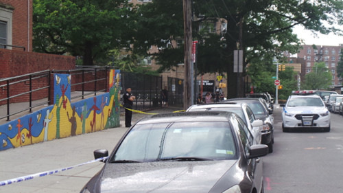 ŦԼСѧ��������������ͱ�˰�����ڽ����˶���