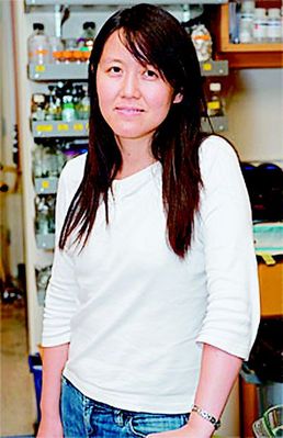 麦克阿瑟天才奖华裔得主:沈伟出名陶哲轩最出色