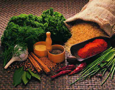 ��ʳ�ͷ�ʳʷ��