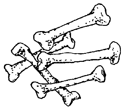 甲骨文的"骨"字,像一堆剔去骨的胫骨之形;小篆"骨"字加肉旁(月)则表示