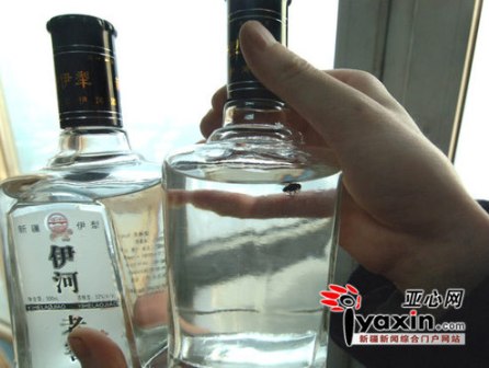 婚宴白酒内躺苍蝇新人客人倒胃口图