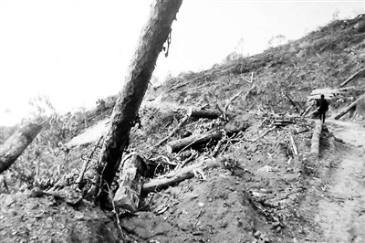 ����������ʡ�������ٱ��ù��������Ҷ��ͼ����2��