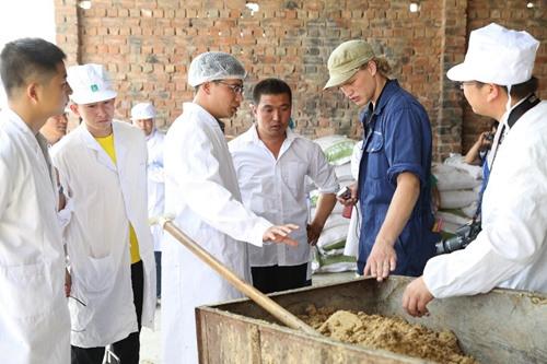 ��ţ��׼��ƶģʽ����й�������ν�