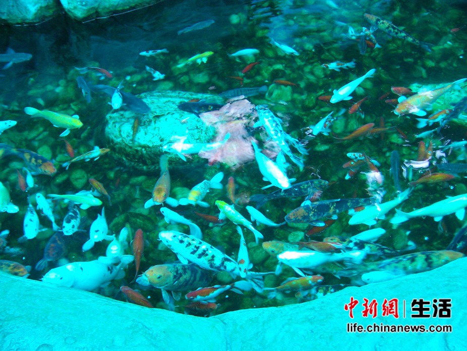 ��߷���ı�������——����