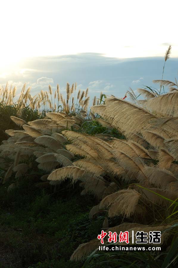 �������� ̴ͷɽ������ͼ��